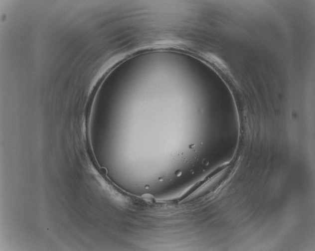 X0000068831420200605051225