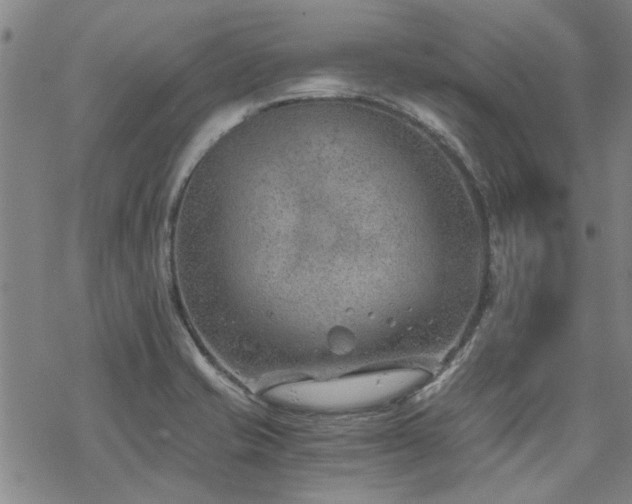 X0000068831421200605051225