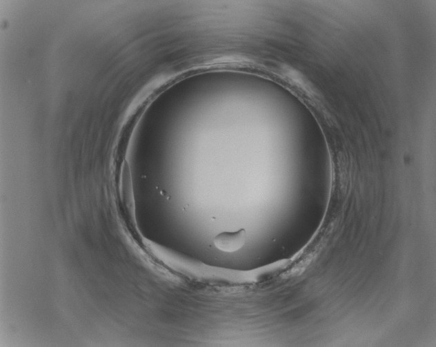 X0000068831422200605051225