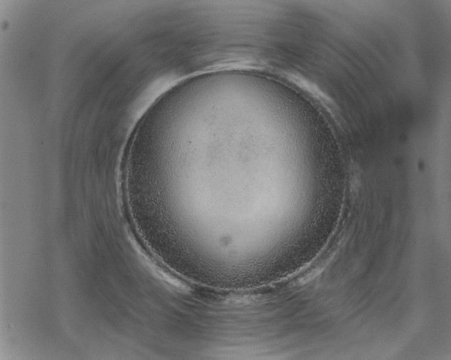 X0000068831423200605051225