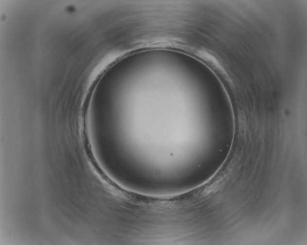 X0000068831424200605051225