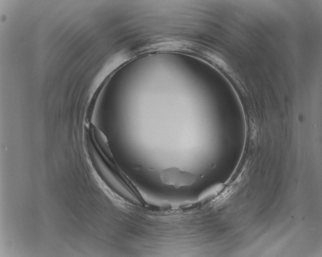 X0000068831426200605051225