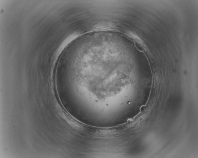 X0000068831427200605051225