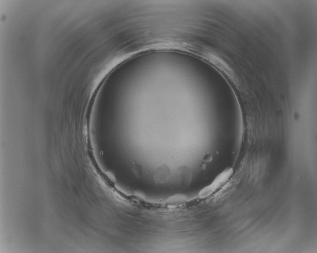 X0000068831428200605051225