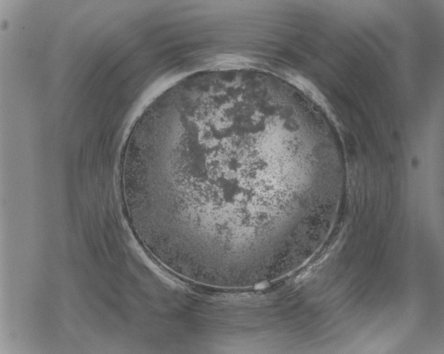 X0000068831429200605051225