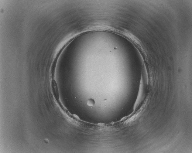 X0000068831430200605051225