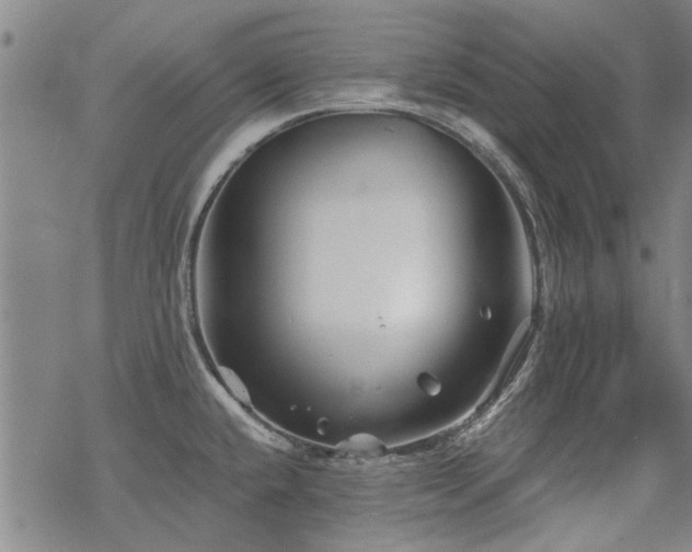 X0000068831432200605051225