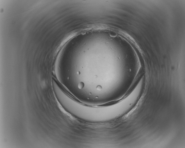 X0000068831433200605051225