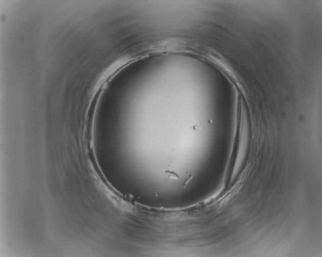 X0000068831434200605051225