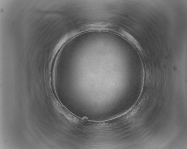 X0000068831435200605051225