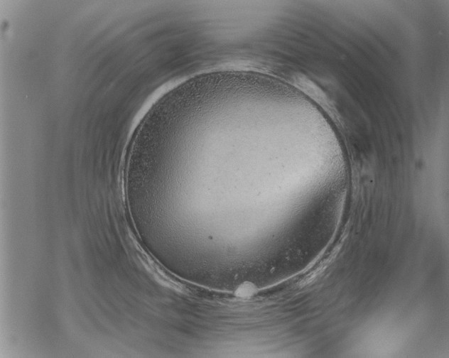 X0000068831436200605051225