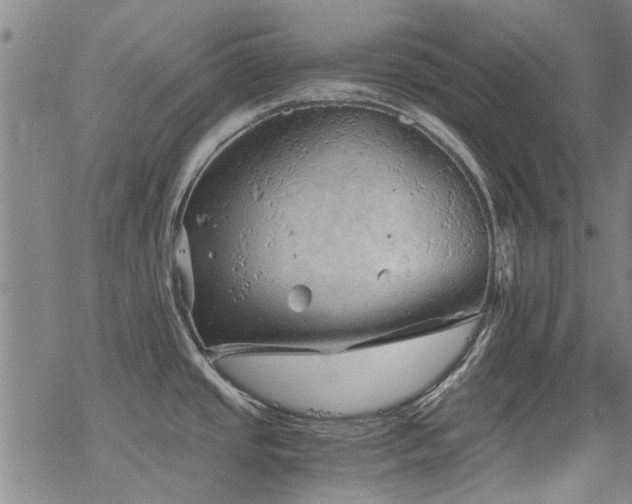 X0000068831437200605051225