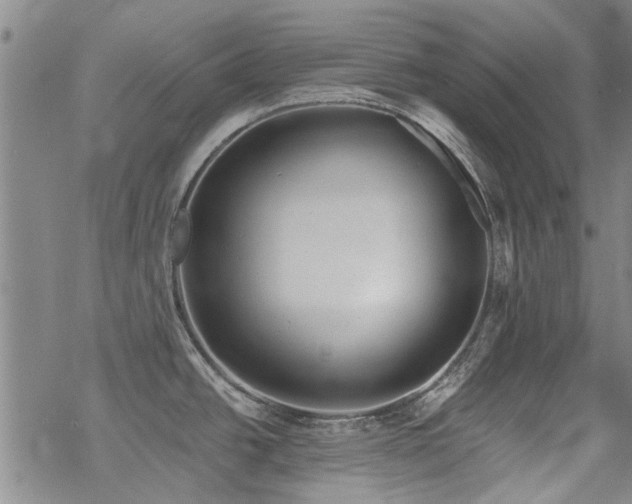 X0000068831438200605051225