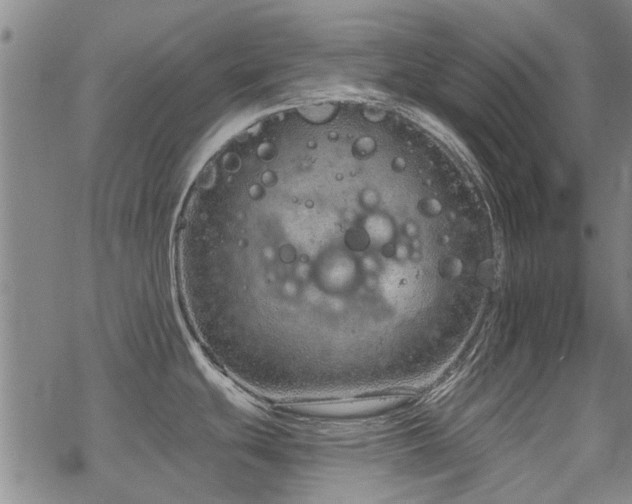 X0000068831439200605051225