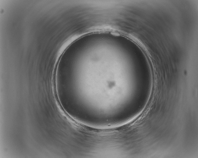 X0000068831440200605051225