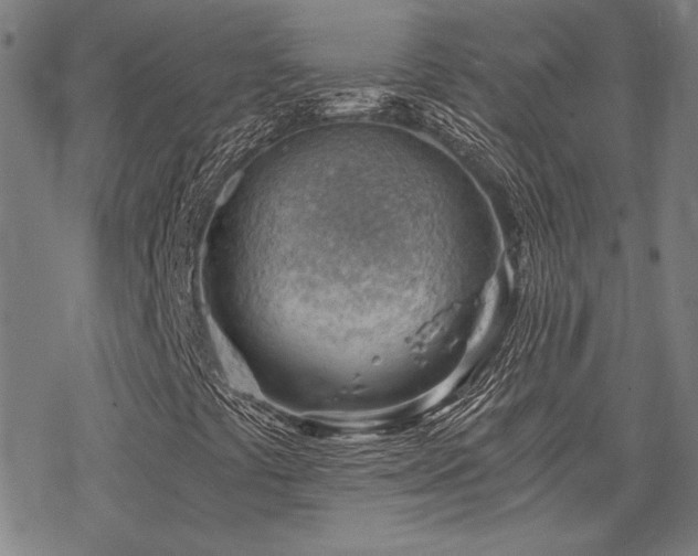 X0000068831441200605051224