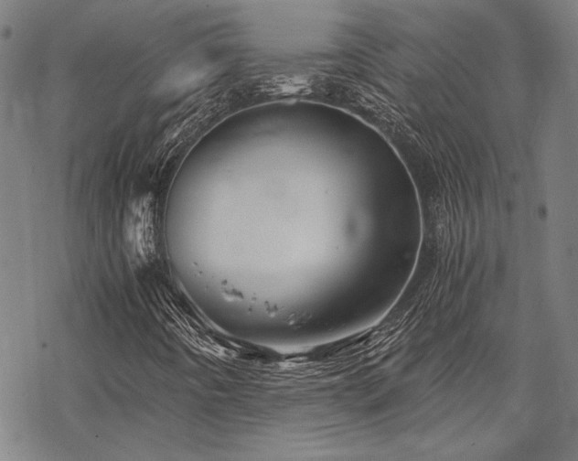 X0000068831442200605051224