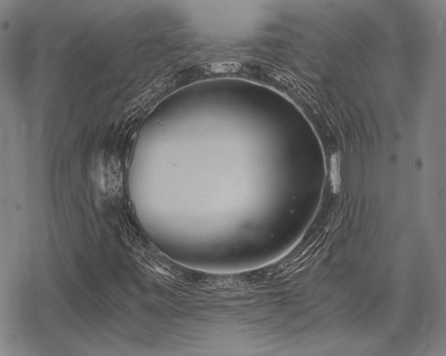 X0000068831443200605051224