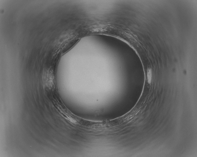 X0000068831444200605051224