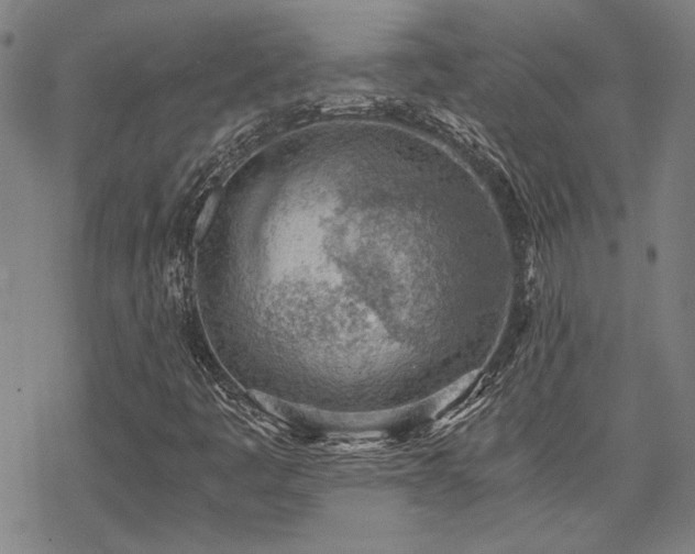 X0000068831445200605051224