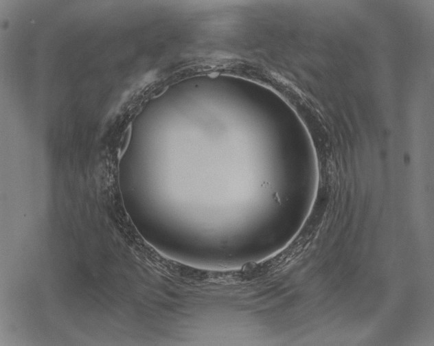 X0000068831447200605051224