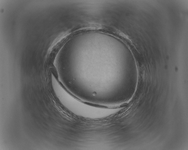 X0000068831448200605051224