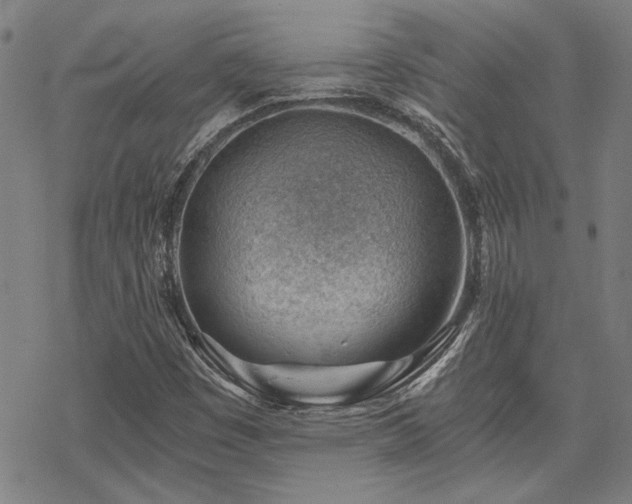 X0000068831449200605051224