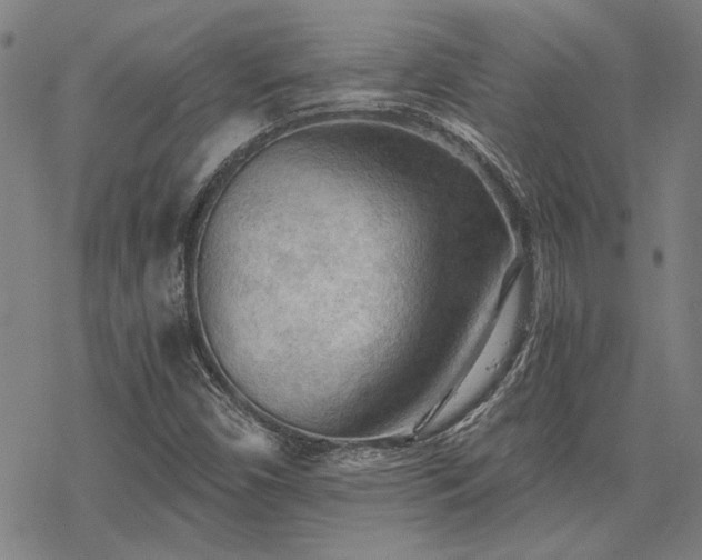 X0000068831450200605051224