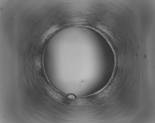 X0000068831451200605051224