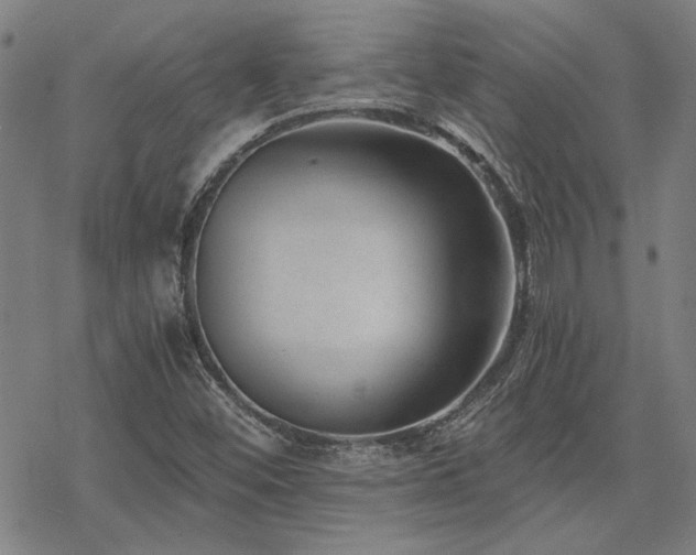 X0000068831452200605051224