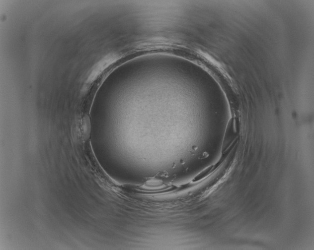 X0000068831453200605051224