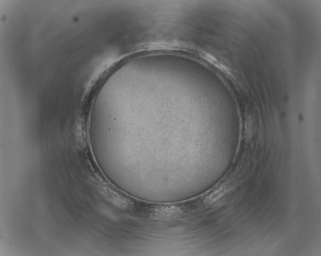 X0000068831454200605051224