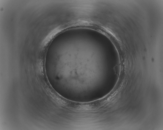 X0000068831455200605051224