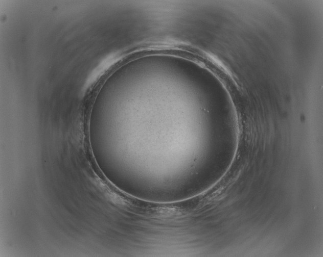 X0000068831456200605051224