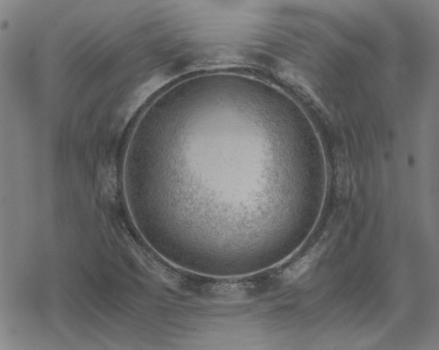 X0000068831457200605051224