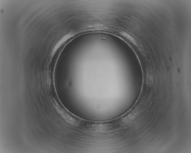 X0000068831458200605051224