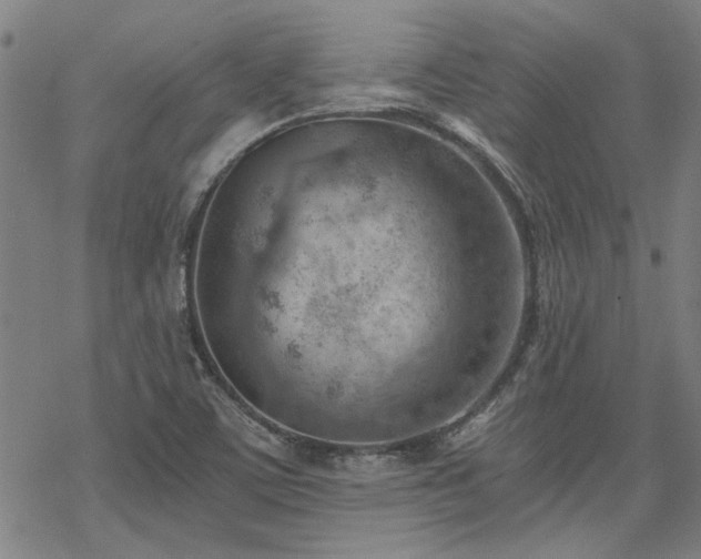 X0000068831459200605051224