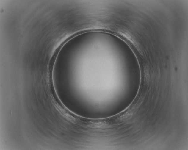 X0000068831460200605051224