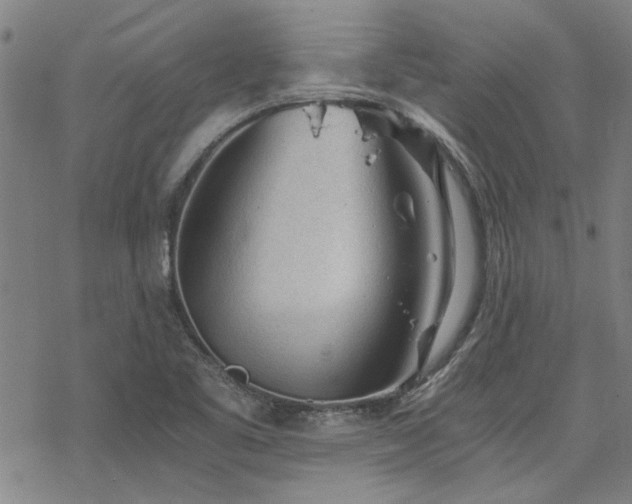 X0000068831461200605051224