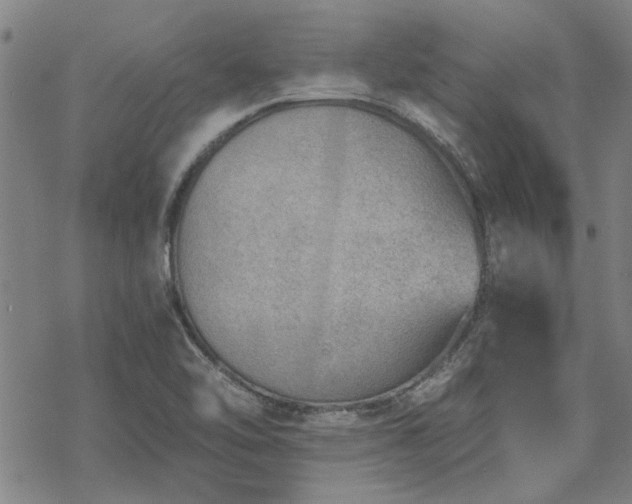 X0000068831462200605051224