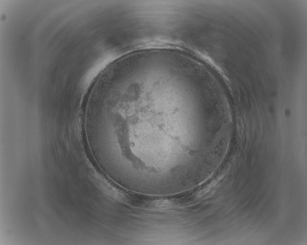 X0000068831463200605051224