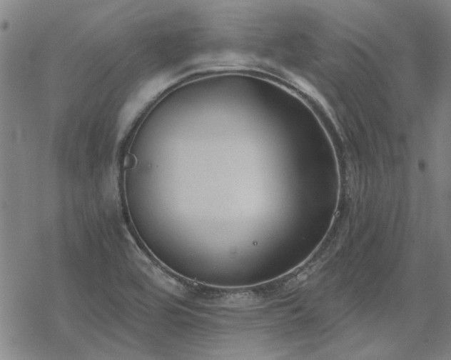 X0000068831464200605051224