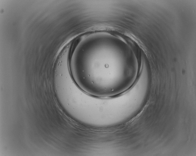 X0000068831465200605051224