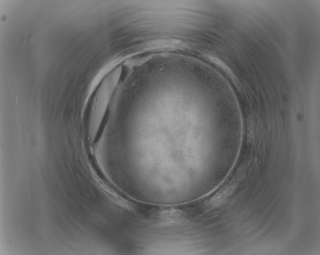 X0000068831467200605051224