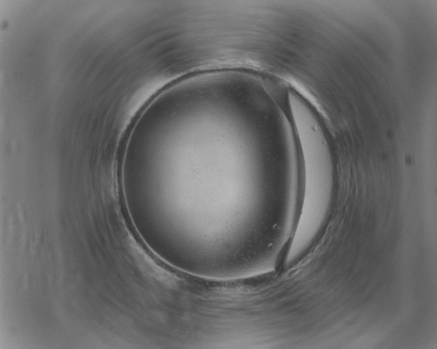 X0000068831468200605051224