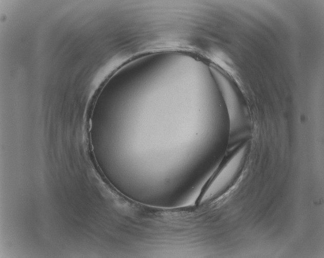 X0000068831469200605051224