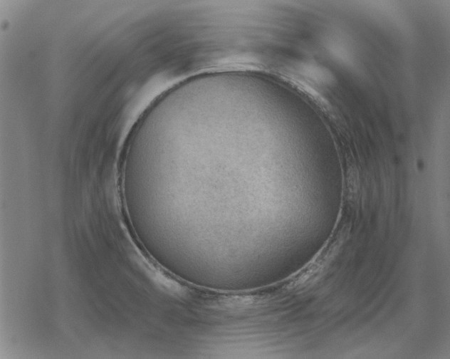 X0000068831470200605051224