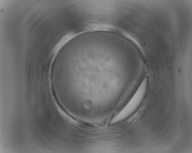 X0000068831471200605051224