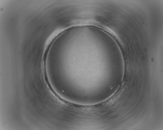 X0000068831472200605051224