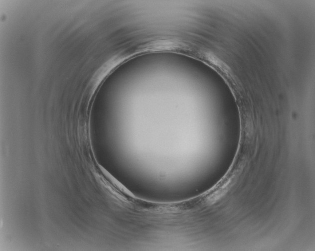 X0000068831473200605051224